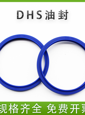 防尘密封圈 油缸油封DHS14X22X4.5/6 67X75X5/6.5液压油封密封圈