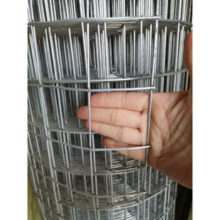 鸡玉米玉米G网铁丝网围栏笼养圈X新品 新品 镀锌电焊网养殖网 钢丝装