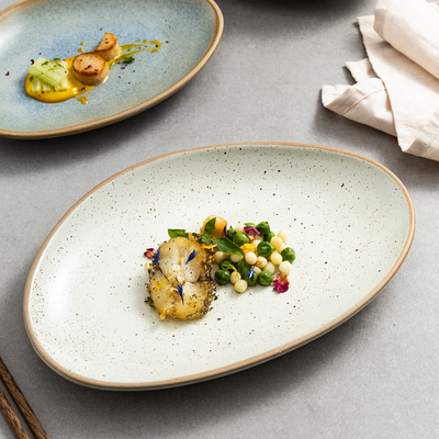 日式粗陶不规则盘子商用酒店盘