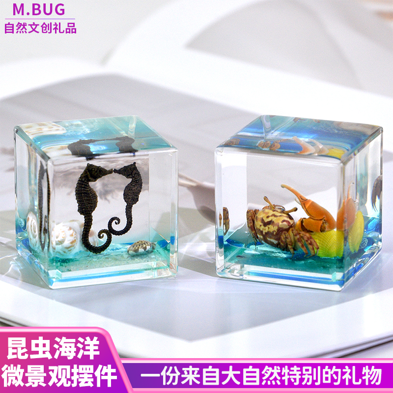 MBUG昆虫海洋动物冰封摆件标本文创礼品纪念品送朋友儿童创意礼物