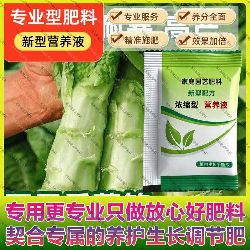 香莴笋专用肥料养殖营养液莴苣水肥圆叶窝笋菜水肥种耐寒耐热尖叶