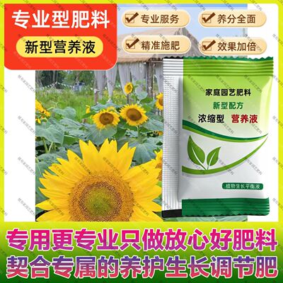 营养液专用肥料养护观赏向日葵水肥一举夺魁花肥矮生营养肥料四季