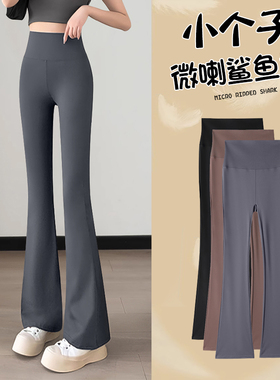 小个子微喇鲨鱼裤女春秋外穿2026新款高腰显瘦加绒健身瑜伽喇叭裤