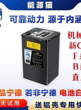 能源猫九号机械师2代MMAX2 110P NZ90 CZ90 52V 48V宁德锂电池
