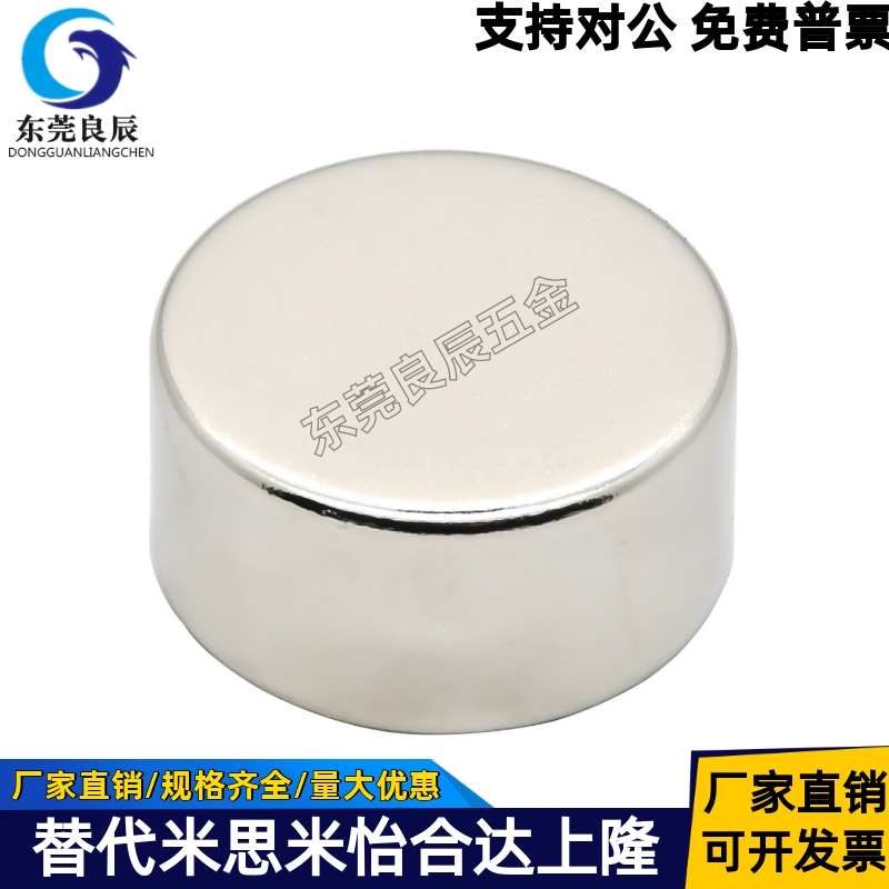 耐高温磁铁BLS04-D10-L10