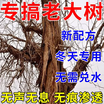 强力除大树烂根药树枯死