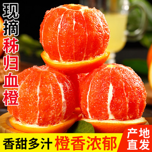 正宗秭归中华红血橙新鲜应季水果手选榨汁果冻脐甜橙子整箱包邮
