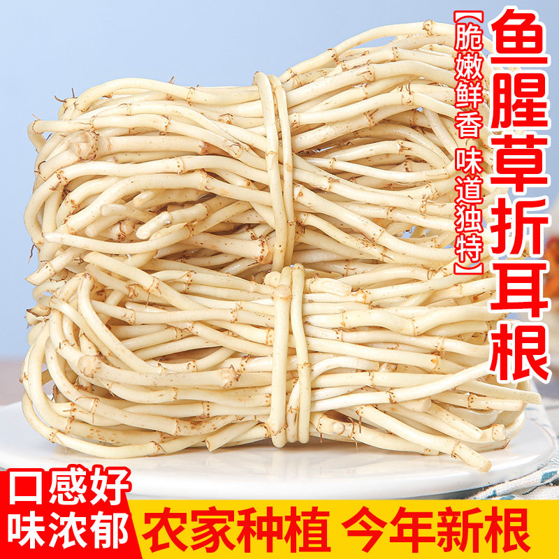 折耳根鲜嫩鱼腥草凉拌脆爽下饭菜