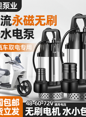 无刷直流潜水泵4860v72v电动电瓶车专用大功率农用浇菜灌溉抽水泵