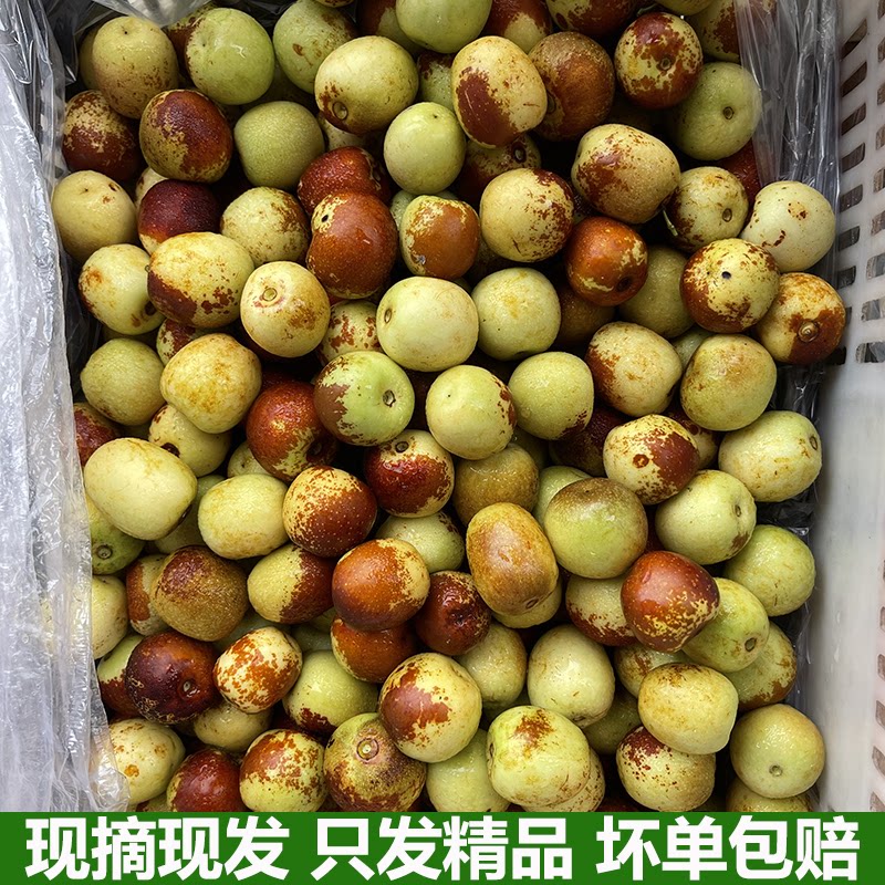 枣子新鲜脆枣大荔冬枣新鲜当季时令水果脆甜枣冰糖枣精选装包邮