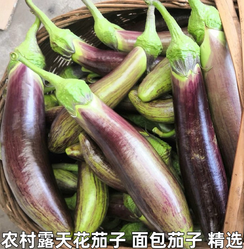 湖北新鲜面包茄子海绵茄烧烤茄农家茄长茄时令蔬菜花茄开锅烂包邮