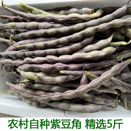大紫袍油豆角湖北自种紫豆角农家新鲜蔬菜芸豆冻死鬼扁豆包邮