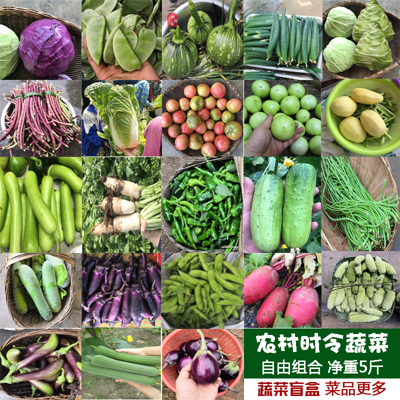 农家菜当季蔬菜农家自种新鲜时令蔬菜自由组合套餐蔬菜盲盒包邮