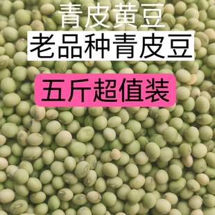 贵州本地老品种新黄豆5斤农家自种青黄豆青大豆青皮黄豆