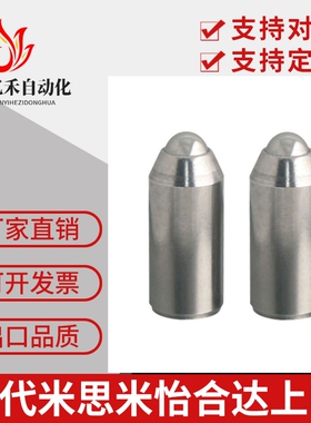 304不锈钢光身重载型球头柱塞BSZP5/6/8/10/12弹簧玻珠大量现货