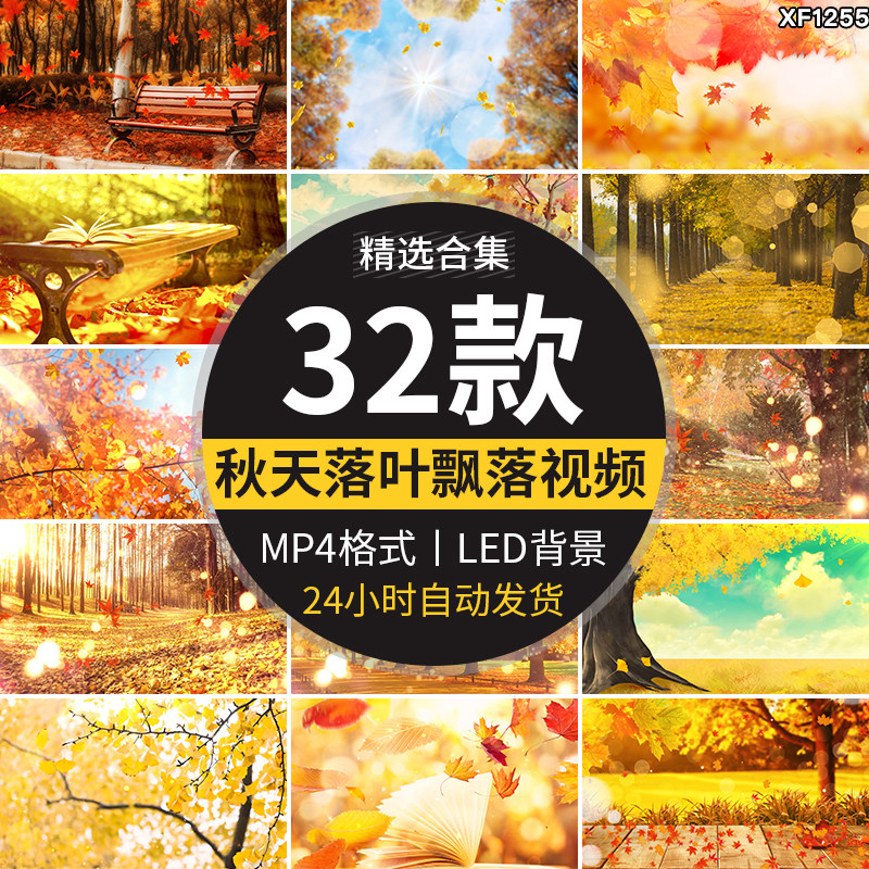 枫叶银杏树叶飘落叶红叶金秋婚礼晚会舞台led大屏幕背景视频素材