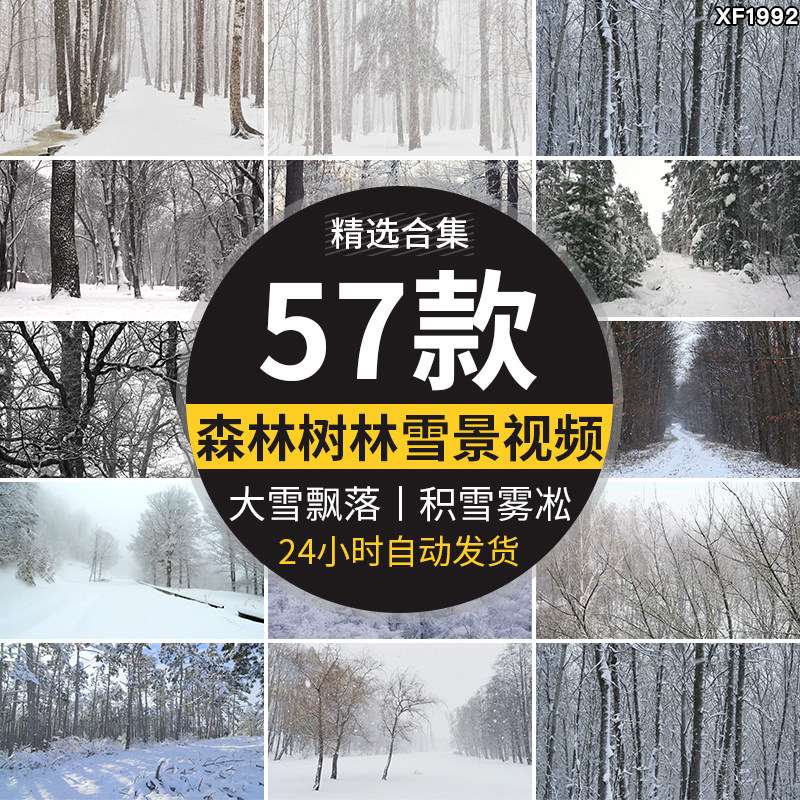 冬天树林雪景大雪纷纷下雪飘落森林积雪冬季自媒体风景短视频素材