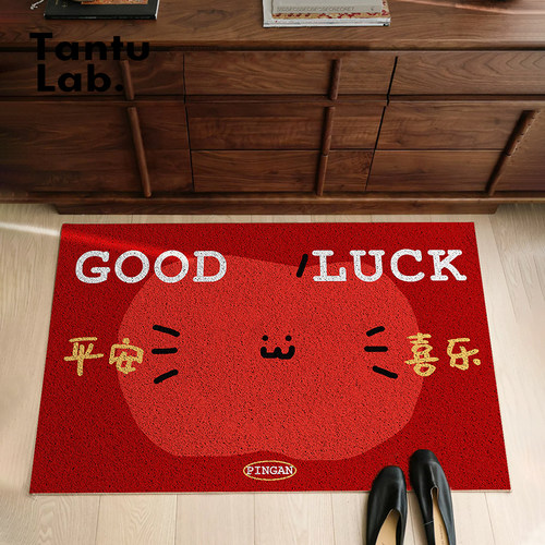 入户门地垫丝圈进门脚垫高级可爱