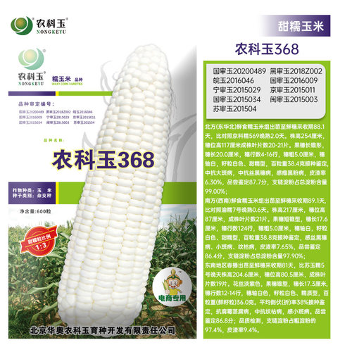 农科院研发白甜糯玉米种子