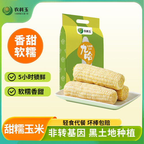 香甜软糯 轻食代餐