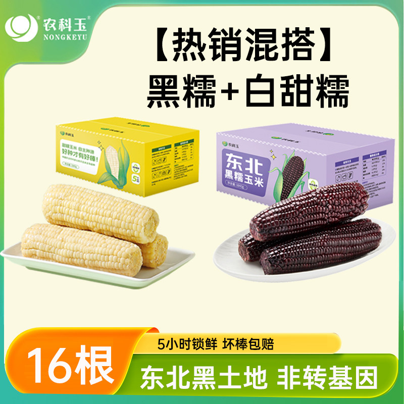农科玉东北黑糯玉米甜糯玉米软糯鲜香早餐苞米真空装粗粮