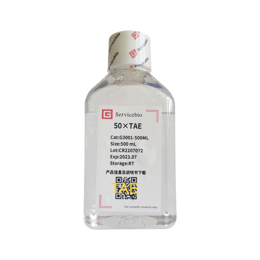 Servicebio 50×TAE电泳缓冲液 500mL Tris-Acetate-EDTA buffer-封面