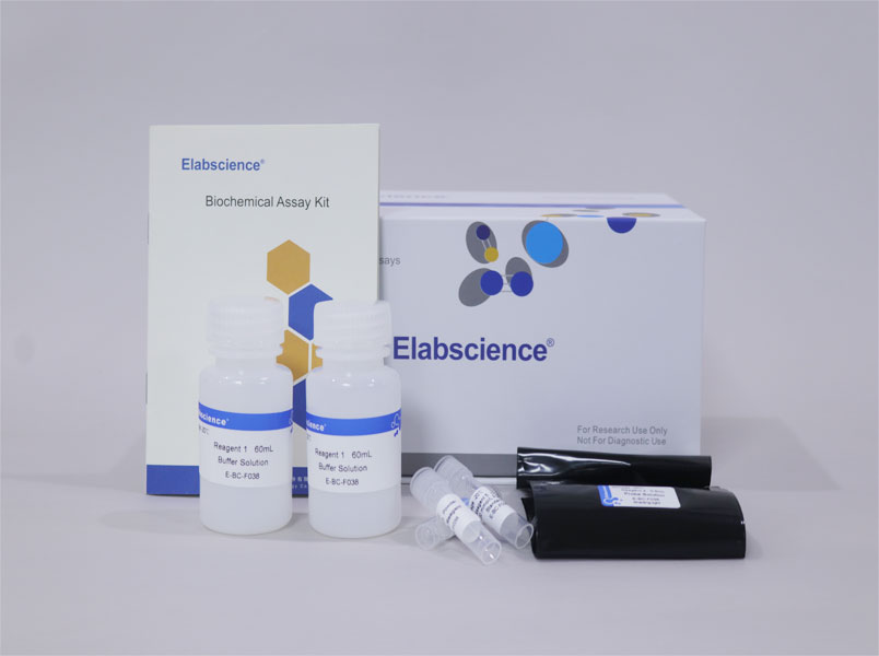 Elabscience谷丙转氨酶(ALT/GPT)活性荧光法测试盒E-BC-F038,96T