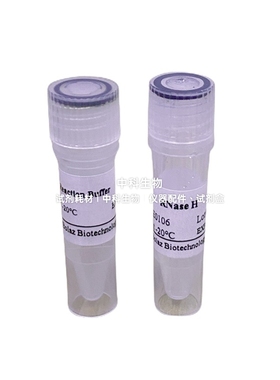 BOLAZ RNase H 核糖核酸酶H 核酸内切酶降解RNA/DNA杂交链中RNA链