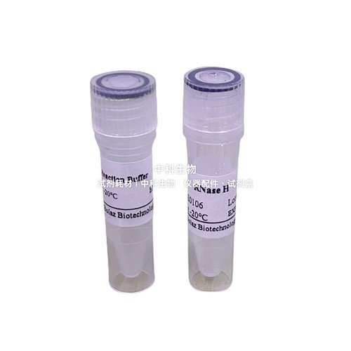 BOLAZ RNase H 核糖核酸酶H 核酸内切酶降解RNA/DNA杂交链中RNA链