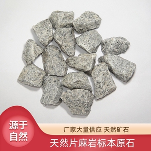 天然片麻岩石头变质岩 块状沉积岩摆件科普厂家岩石标本