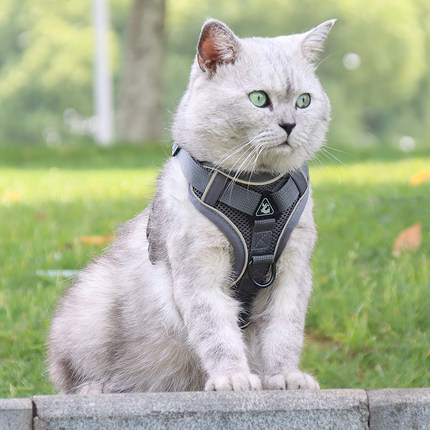 猫咪牵引绳防挣脱外出专用不勒脖遛猫绳子小猫幼猫胸背带拴猫绳