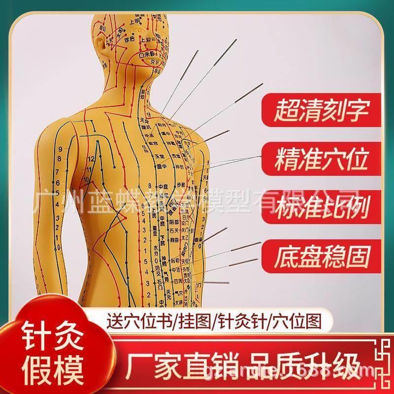 52针灸穴位人体模型全身家用中医十二经络图小皮人扎针练习铜人