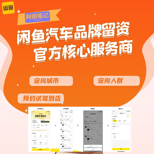 闲鱼汽车线索线索留资可定向城市人品牌 全国开通 精准买车客群