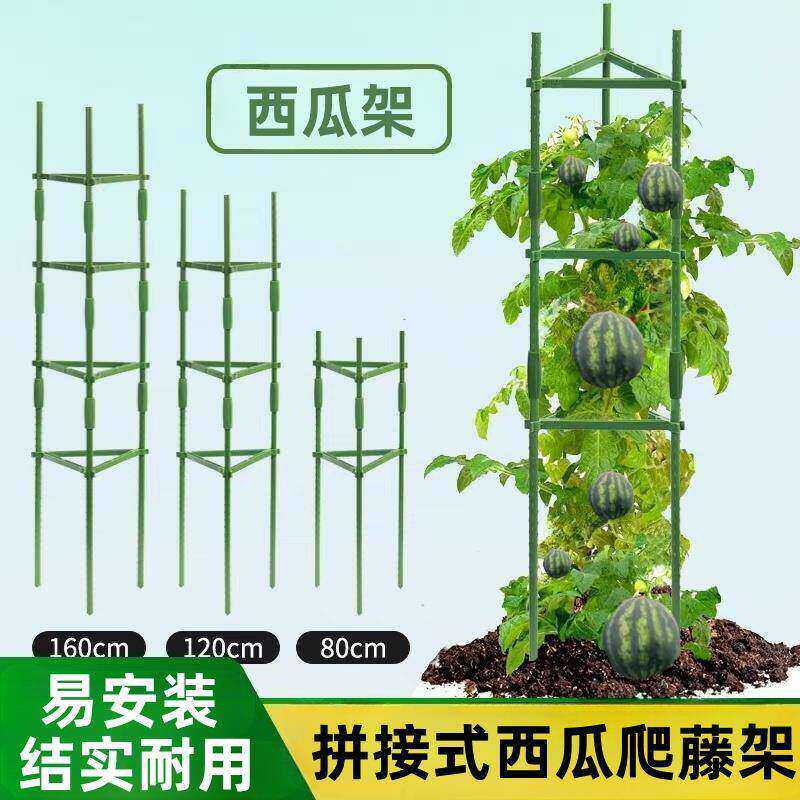 西瓜爬藤架子家用盆栽阳台花盆瓜果支架固定杆果蔬牵引架楼顶种瓜图片