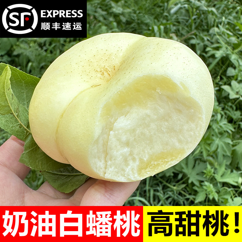 奶油蟠桃新鲜水果整箱当季山东蒙阴白油潘桃应季孕妇水果扁脆桃