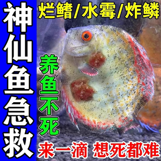 七彩神仙鱼专用药治疗锦鲤鱼烂鳍肠炎趴缸烂肉水族疾病治疗杀菌