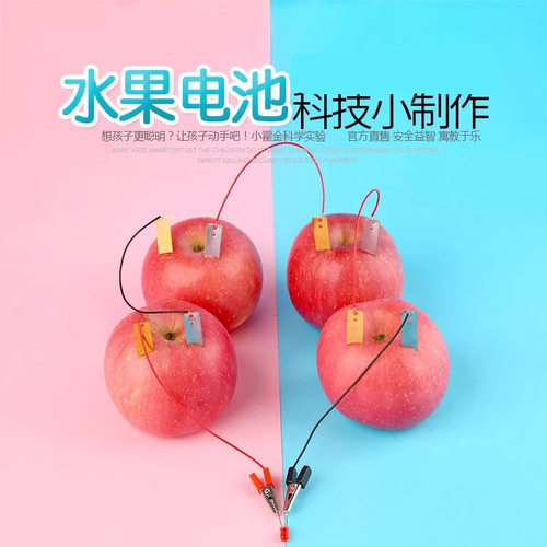 趣味科学水果电池实验探究制作玩具土豆材料创意儿童可爱