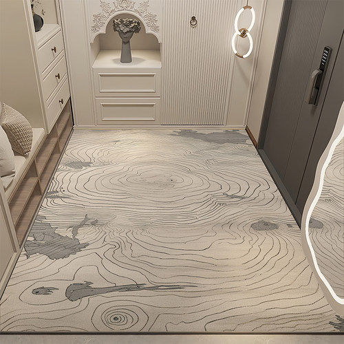 定制高级感进门地垫入户门垫北欧家用客厅地毯可裁剪玄关脚垫耐脏