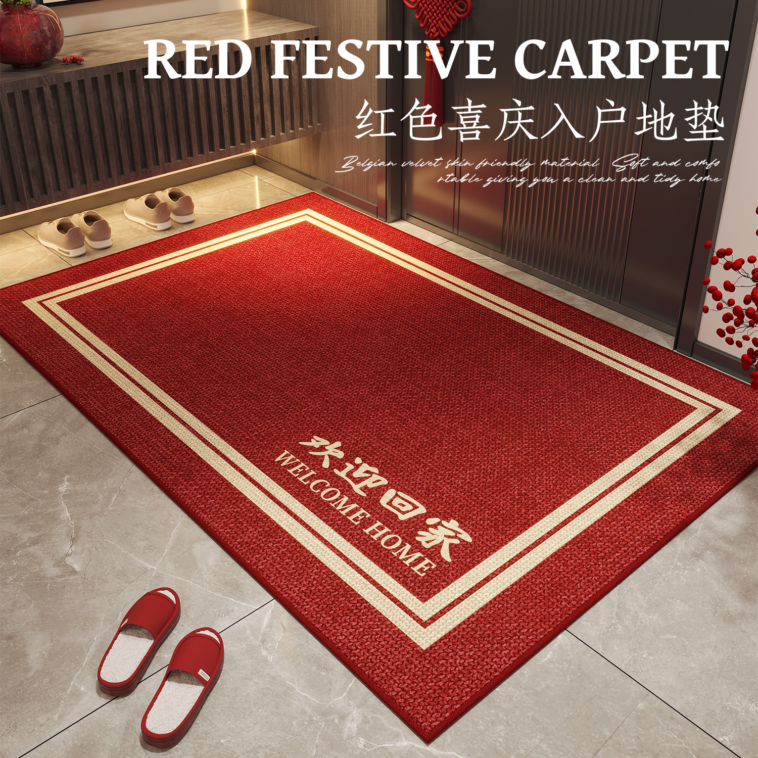 地垫入户门进门地毯门口家用门垫防滑客厅轻奢高级玄关脚垫可裁剪