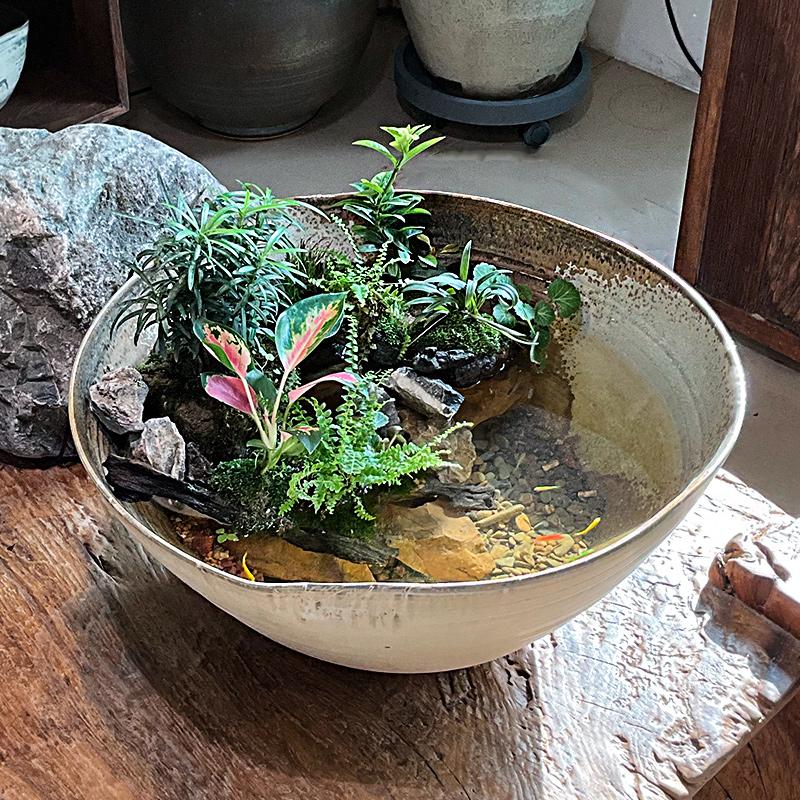 物喜一侘全套生态造景陶瓷生态缸