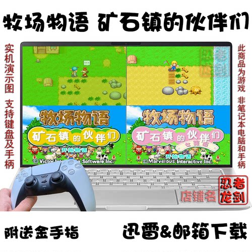 牧场物语矿石镇的伙伴们PC游戏