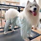 四脚防尘裤 护腿服 狗狗防虫衣服外出遛弯四角狗衣服宠物防护薄款