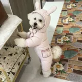 Демисезонный удерживающий тепло пуховик для выхода на улицу, осенний сезон, в западном стиле