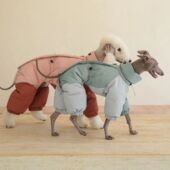 25年中型犬灵提惠比特高领棉衣宠物狗狗秋冬衣服保暖防风生态棉服