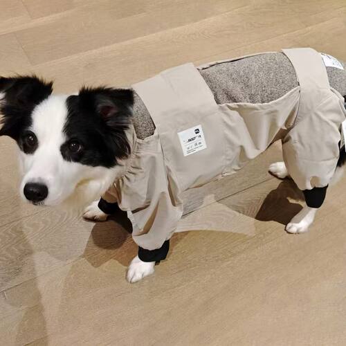四脚防尘裤狗狗防虫衣服外出遛弯四角狗衣服宠物防护薄款护腿服