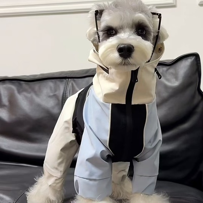 小狗衣服防风冲锋衣外套泰迪比熊雪纳瑞大中小型犬洋气保暖四脚