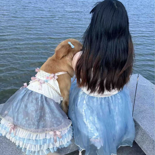 中大型狗衣服特大夏季薄款夏装裙大狗萨摩耶金毛阿拉斯加公主裙