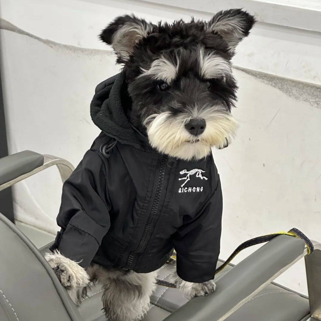 宠物狗狗冲锋衣泰迪比熊网红秋冬新款雪瑞纳小型犬防风衣服外套,宠物/宠物食品及用品,猫宠物服装/雨衣（新）,淘宝优惠券,粉丝福利购,淘宝优惠卷
