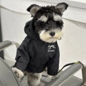 宠物狗狗冲锋衣泰迪比熊网红秋冬新款 雪瑞纳小型犬防风衣服外套