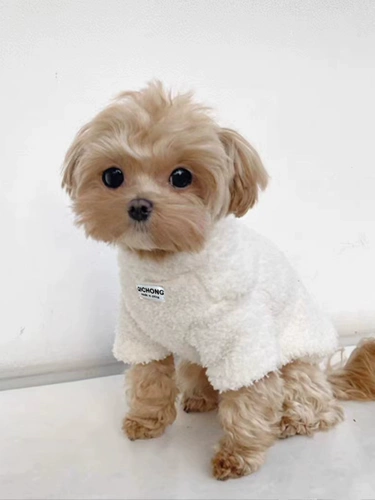 Собачья одежда осень и зимний модный жилет Шнаузер Тедди Бишон Медведь маленькая и средняя собачья теплый котенок одежда для щенка